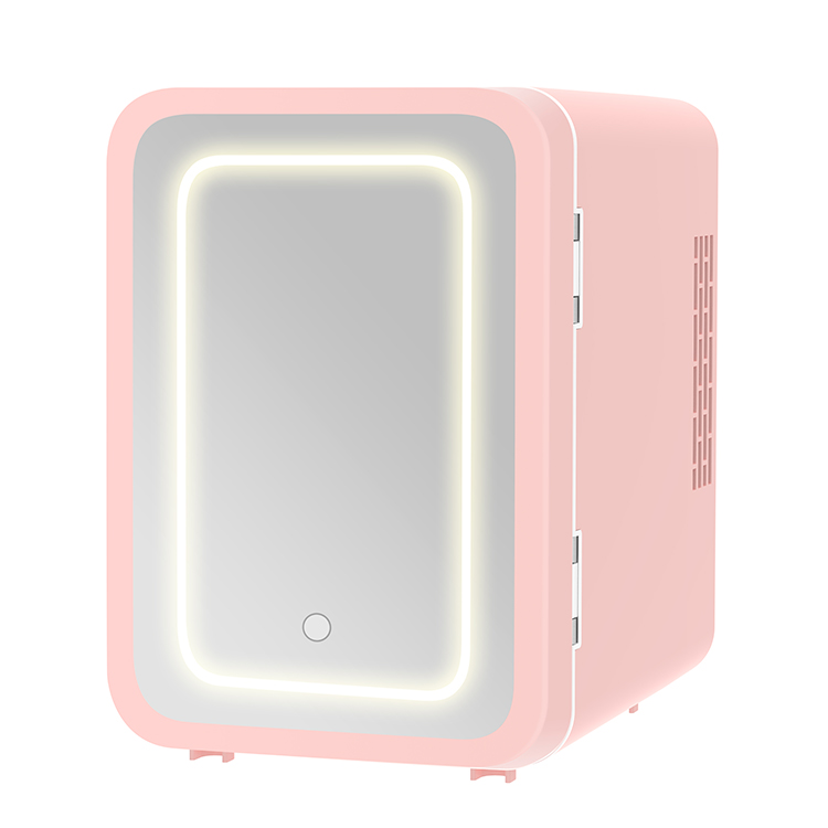 맞춤형 양문형 뷰티 냉장고 - 110V/220V 스킨케 - Beauty Makeup Fridge 리뷰 및 가격
